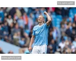 线上博彩的风险管理模式（网络博彩风险管控机制）